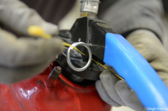 ginge-kerr-16-01-2013-sd-090-670x446