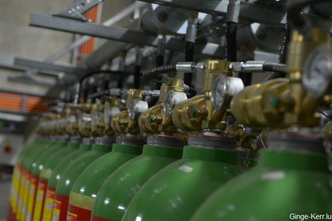 ginge-kerr-16-01-2013-sd-176-670x446