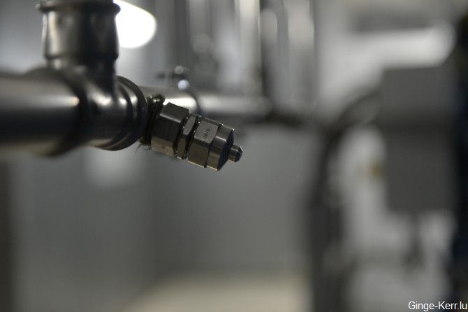 ginge-kerr-16-01-2013-sd-189-670x446