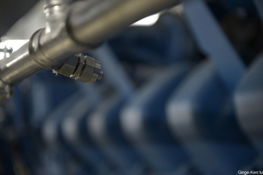 ginge-kerr-16-01-2013-sd-206-900x600