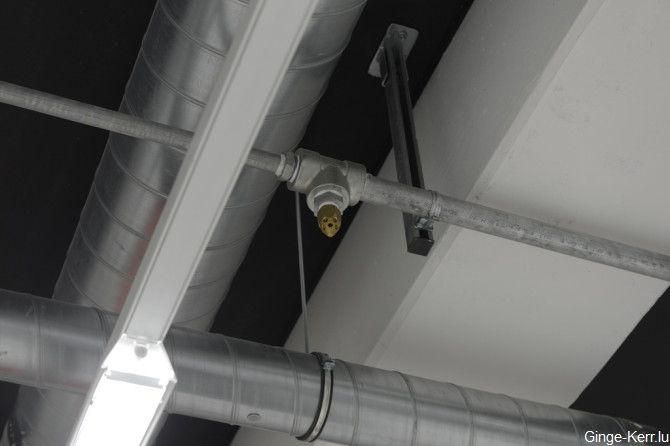 ginge-kerr-16-01-2013-sd-215-670x446