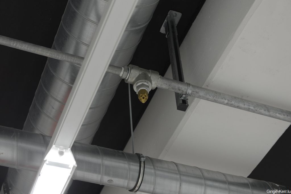 ginge-kerr-16-01-2013-sd-215