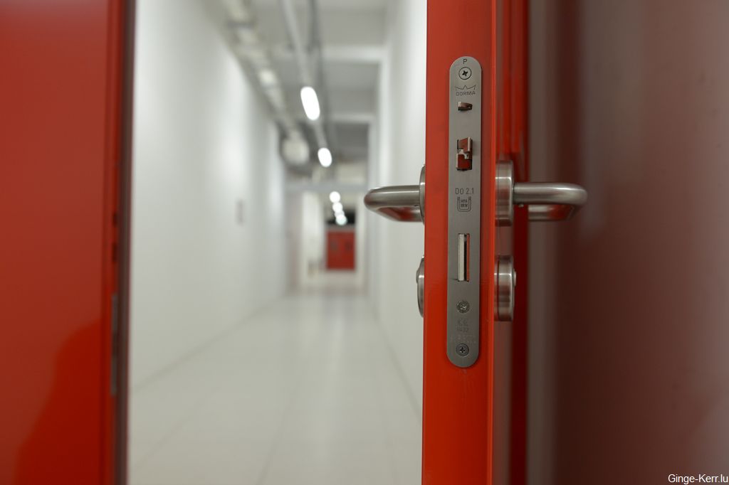 ginge-kerr-16-01-2013-sd-236