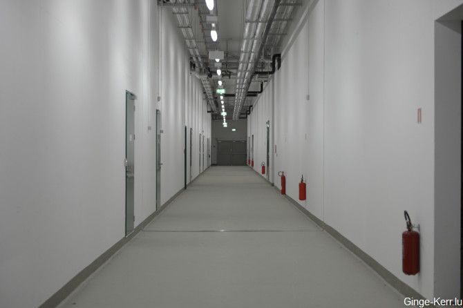 ginge-kerr-16-01-2013-sd-258-670x446