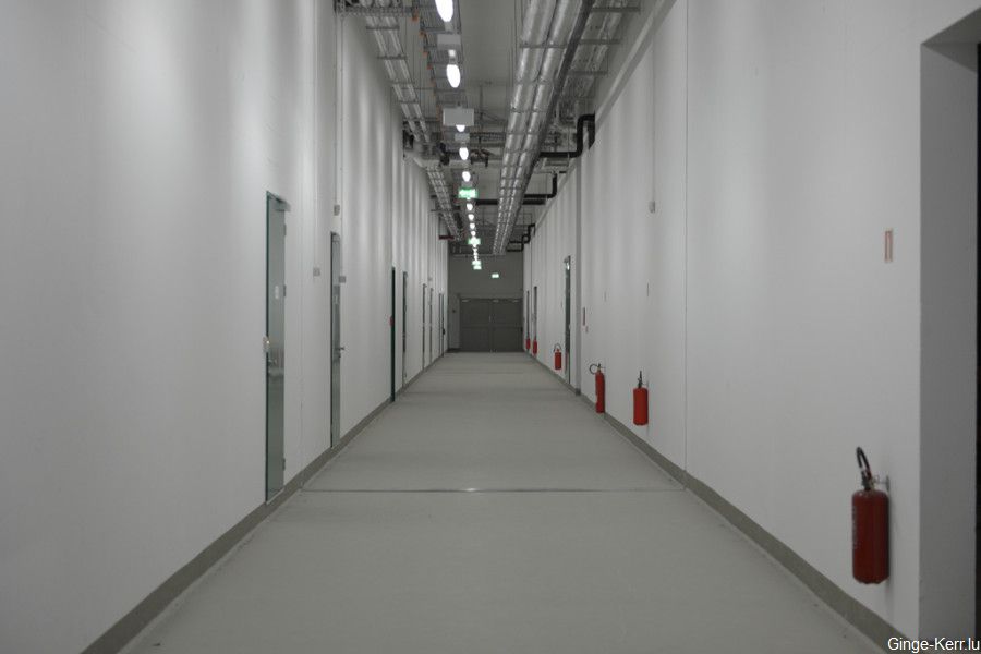 ginge-kerr-16-01-2013-sd-258-900x600